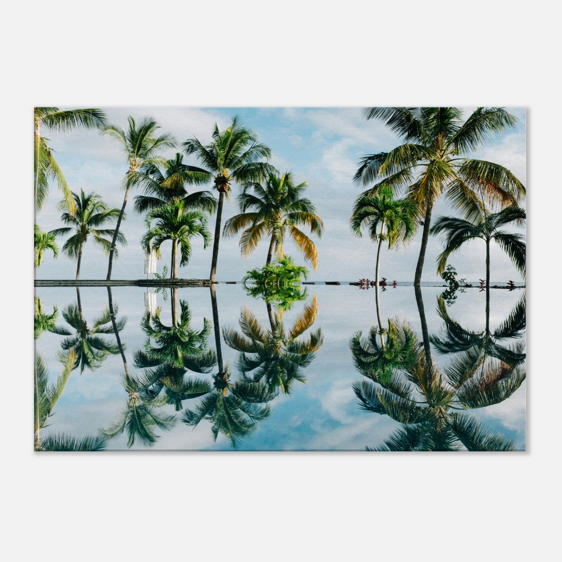 1Palm Tree Reflections Canvas Wall Print by Caribbean Rays