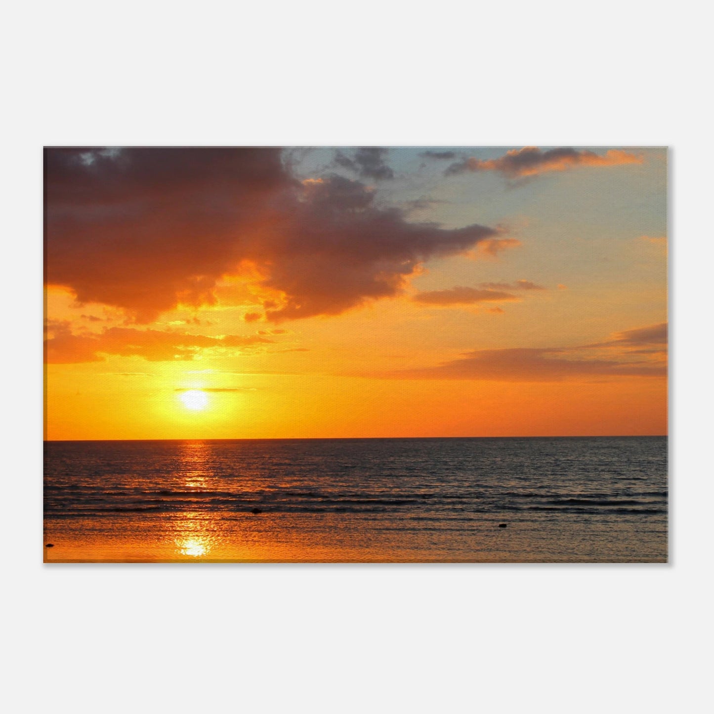 1bf4d4d4-118b-4c82-be5d-3154e158bed4