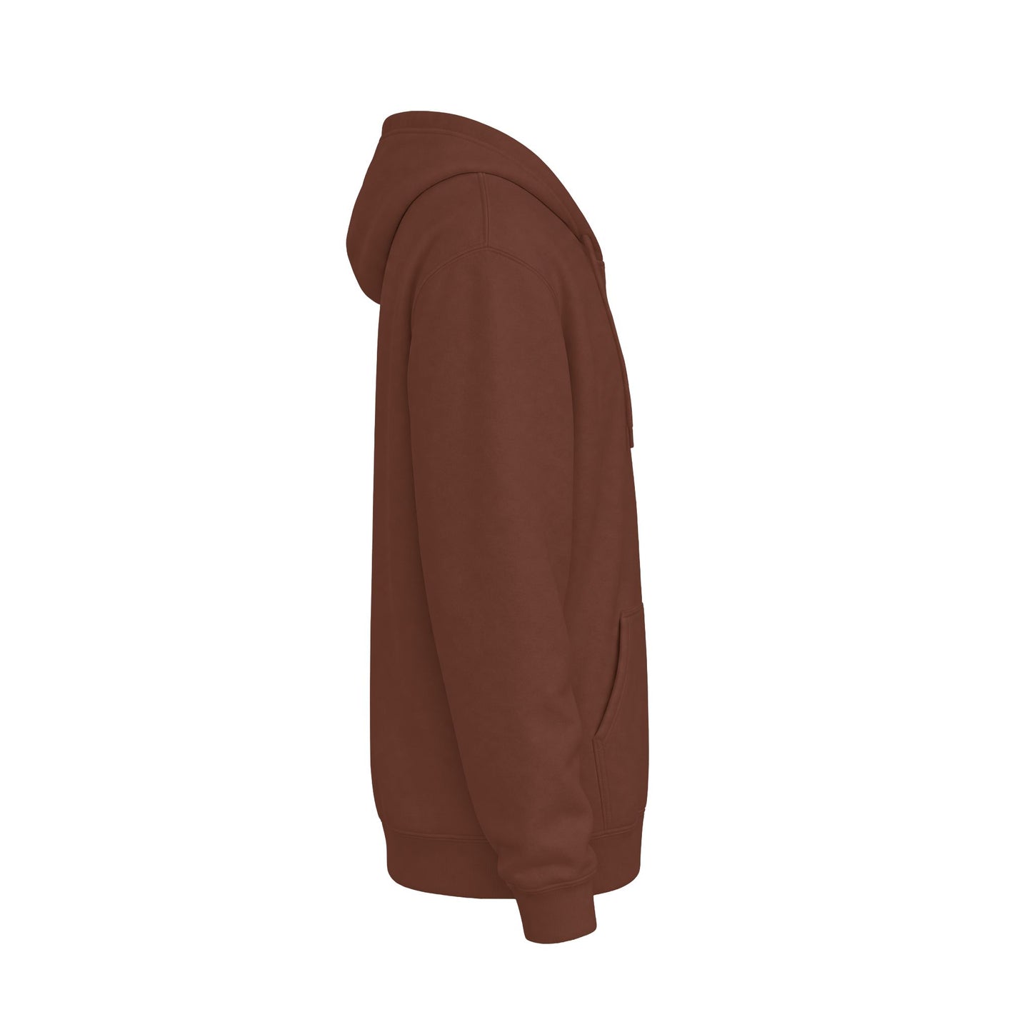 Dolphin Trio Hoodie Graphic Pullover