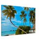  Tropical Resort Getaway Canvas Wall Prints on Caribbean Rays 