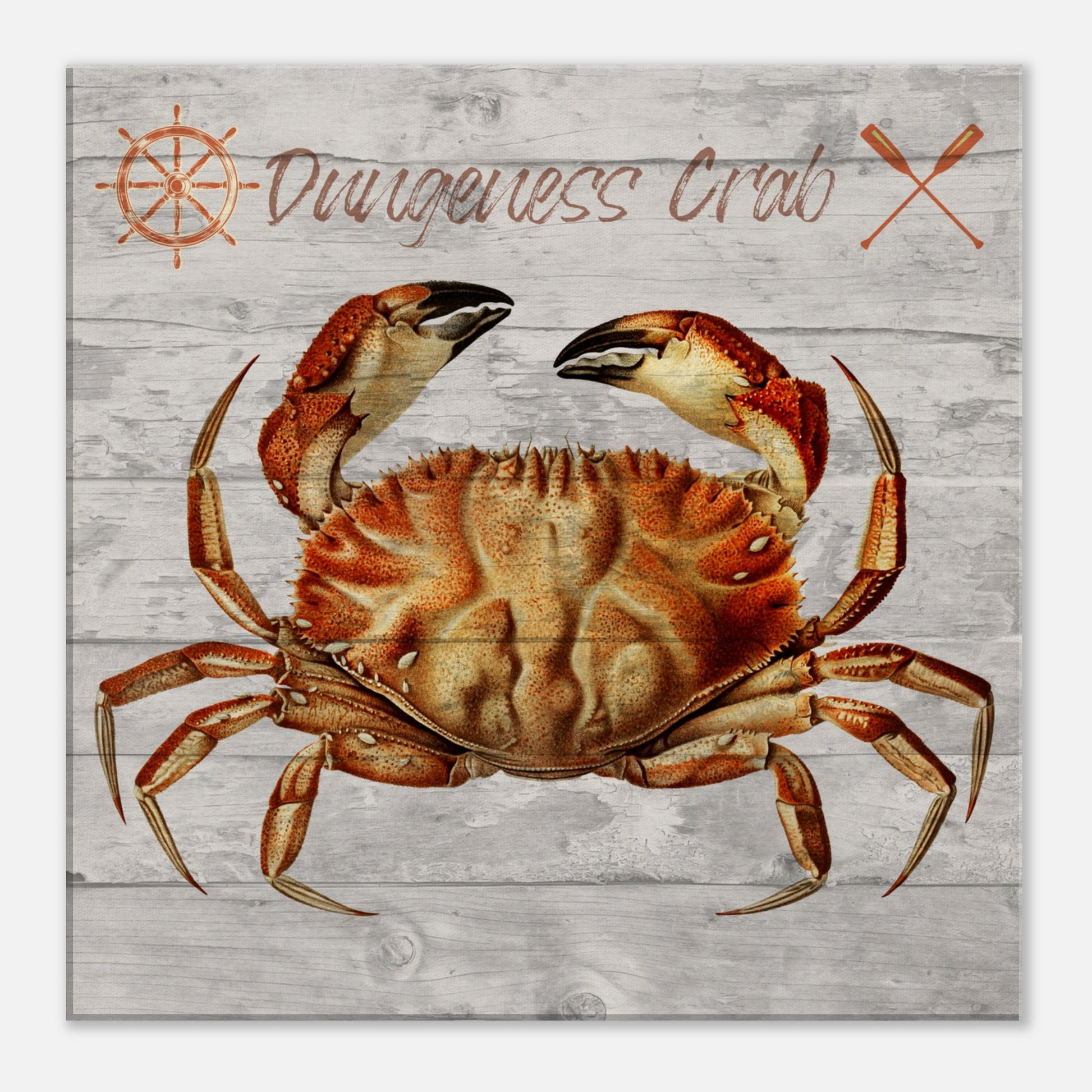 Dungeness Crab Canvas Wall Print at Caribbean Rays