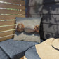 Decorative pillow with shell design on a wooden bench