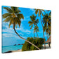  Tropical Resort Getaway Canvas Wall Prints - Caribbean Ra