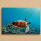 Canvas print of a turtle swimming underwater with sunlight filtering through the water.