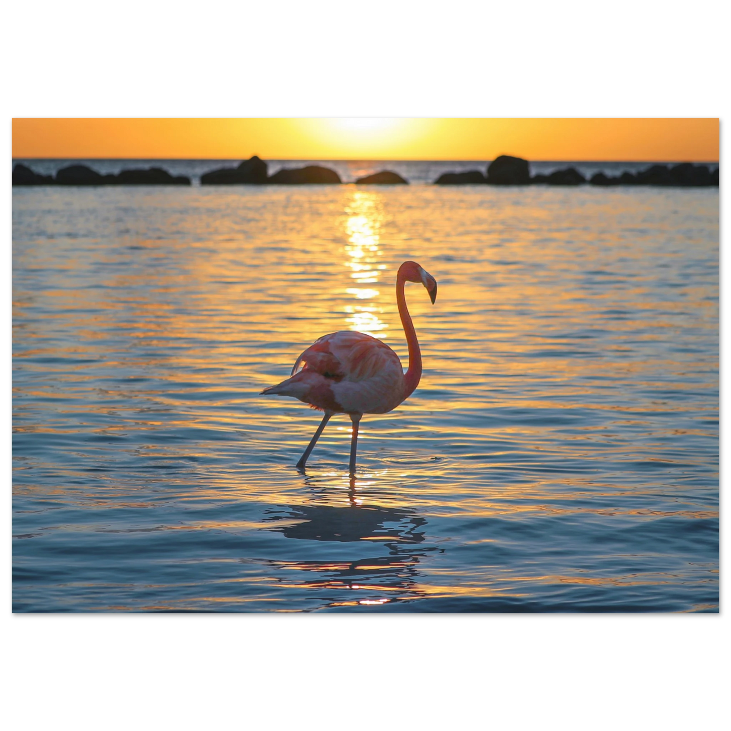 47b59959-3933-4dd5-ad97-176be1b02d2a
