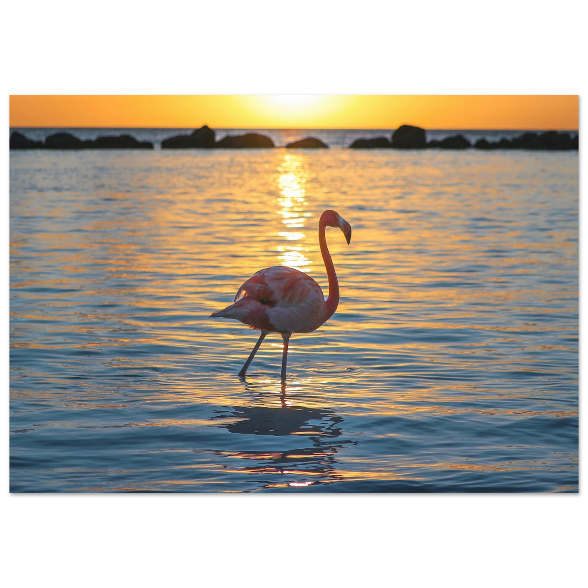 47b59959-3933-4dd5-ad97-176be1b02d2a