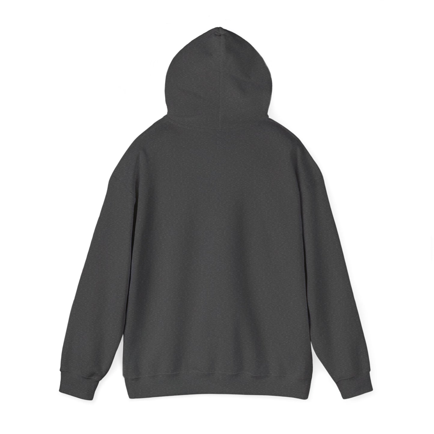 Fishing Hoodie - "Fish More Worry Less" Graphic Pullover