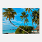 Tropical Resort Getaway Canvas Wall Prints at Caribbean Rays 