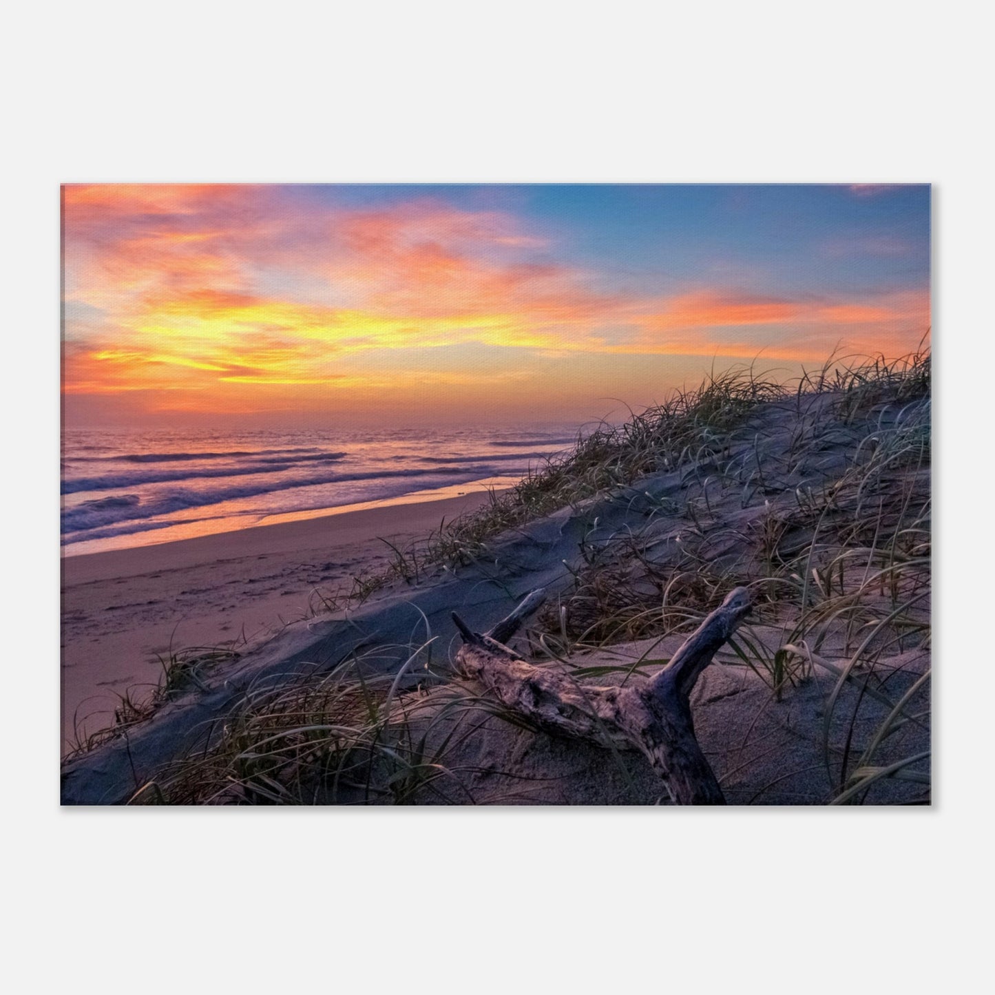 Beach Dune Sunset Canvas Wall Print at Caribbean Rays 