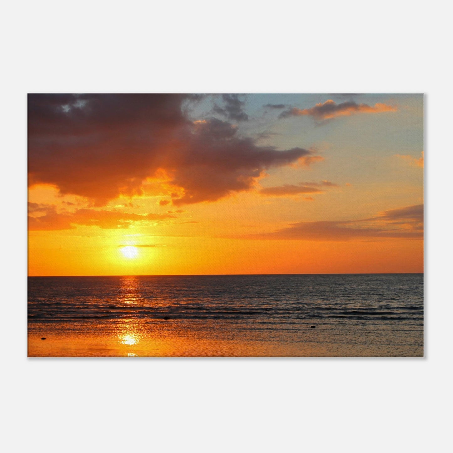 737e2884-f160-46d3-b253-65dbef8093e5