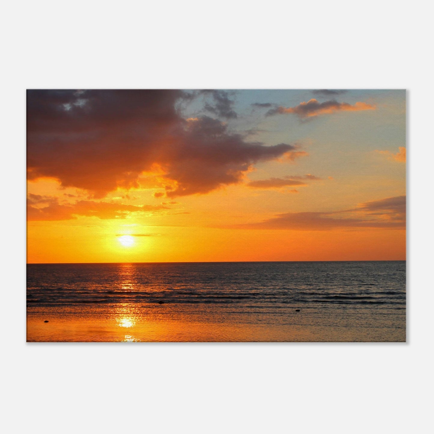 780b186e-d2e8-450c-8f29-bfa8a64bb551