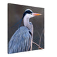 Blue Heron Canvas Wall Print Caribbean Rays