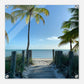 Beach Walk Acrylic Print at Caribbean Rays