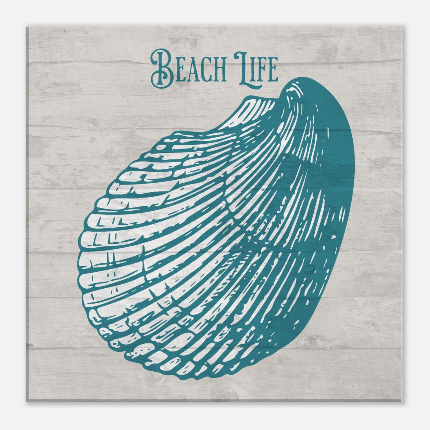 Teal Beach Life Shell Canvas Wall Print on Caribbean Rays