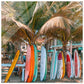 Surfboard Haven Acrylic Wall Print - Caribbean Rays