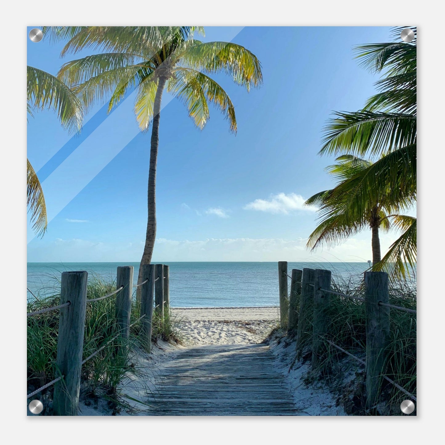 Beach Walk Acrylic Print by Caribbean Rays