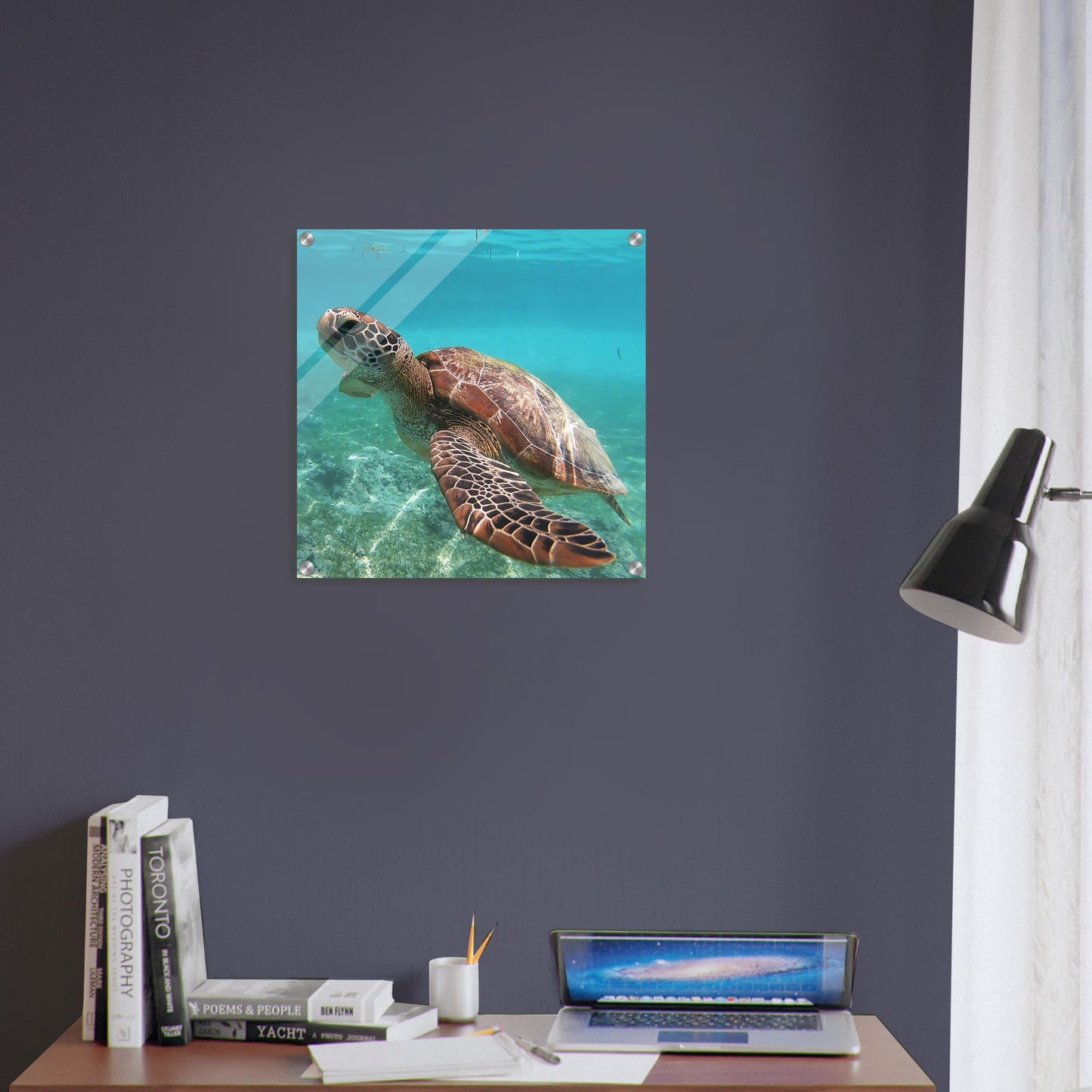Swimming Sea Turtle Acrylic Wall Print on Sea Turtle