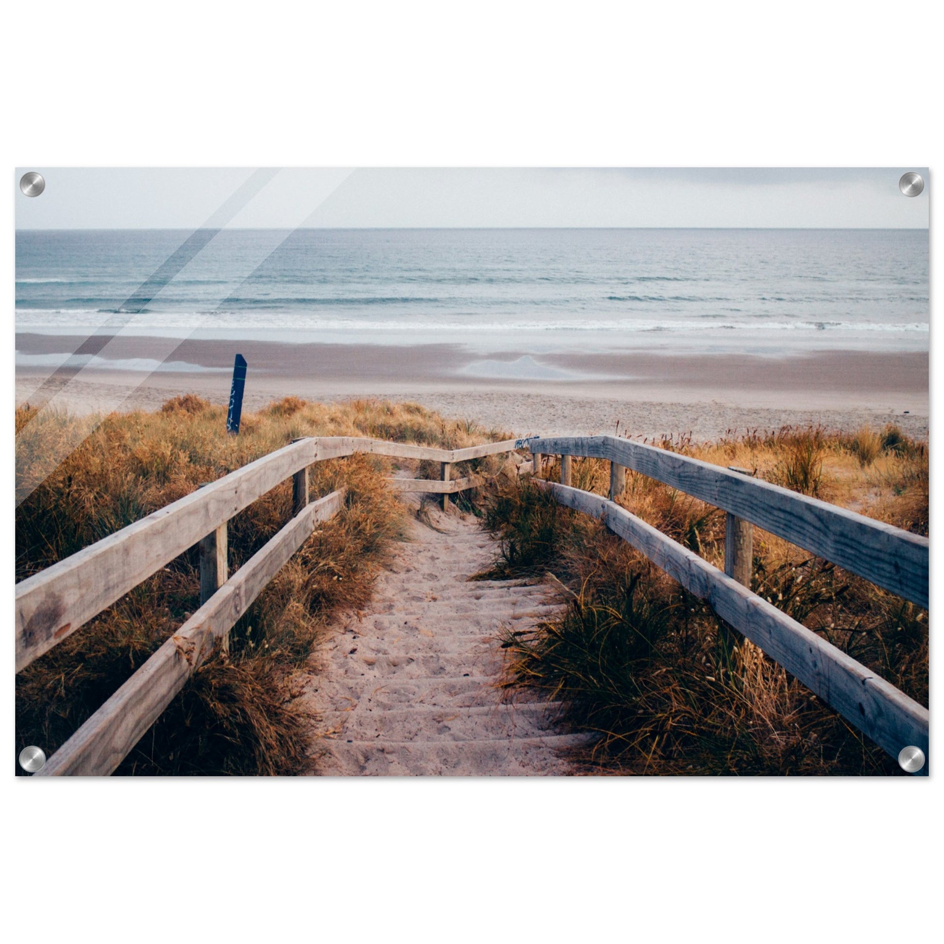  Sandy Steps Acrylic Wall Print  Caribbean Rays 