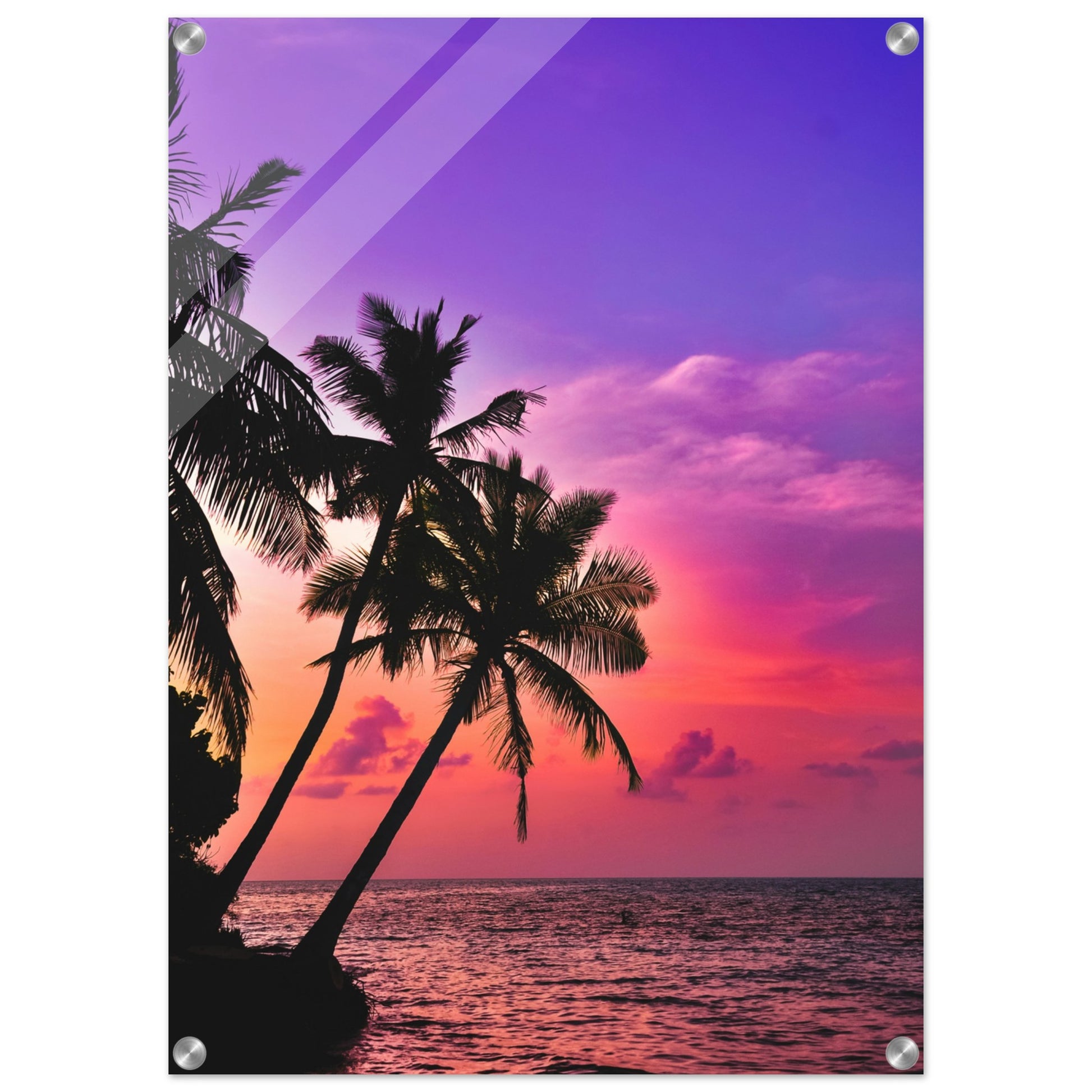 Purple Haze Palms Acrylic Wall Print on Caribbean Rays