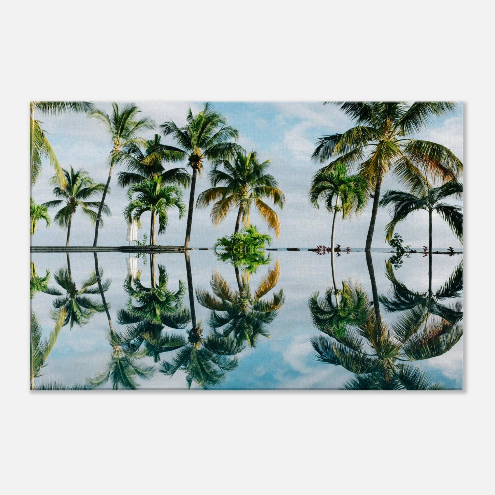 Palm Tree Reflections Canvas Wall Print by Caribbean Rays
