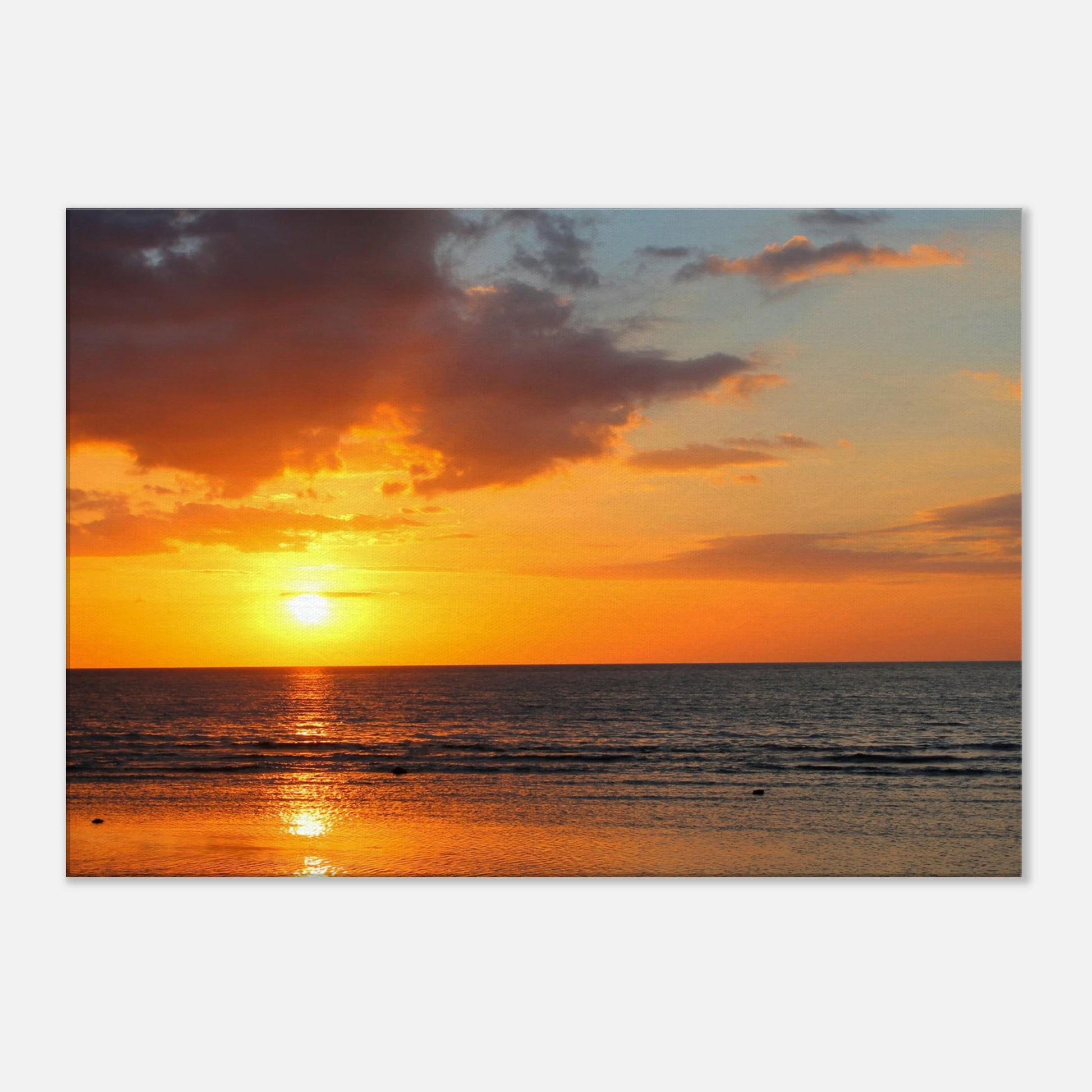 a97a8517-d432-48a9-9a89-63ba91ee6c7e