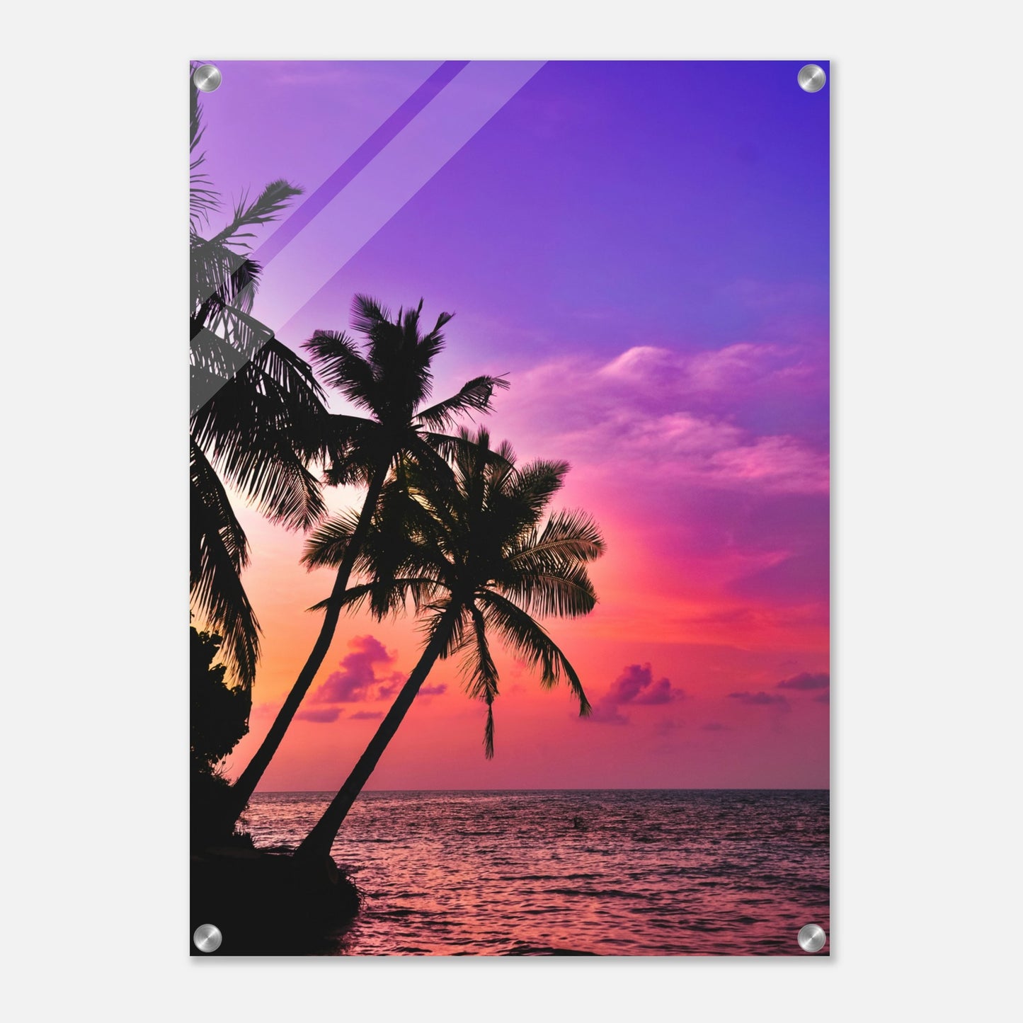 Purple Haze Palms Acrylic Wall Print at Caribbean Rays