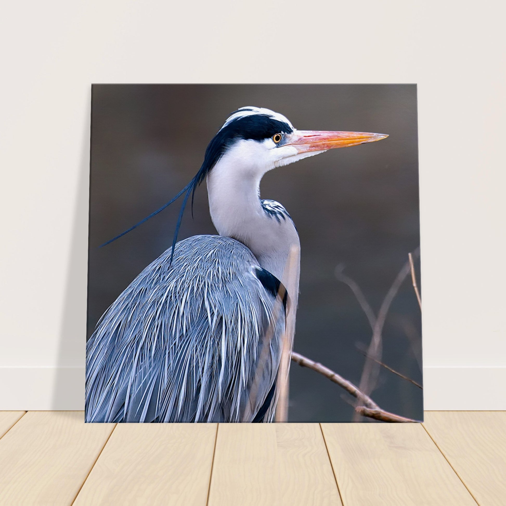 Blue Heron Canvas Wall Print - Caribbean Rays