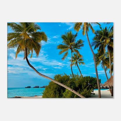   Tropical Resort Getaway Canvas Wall Prints - at Caribbean Rays