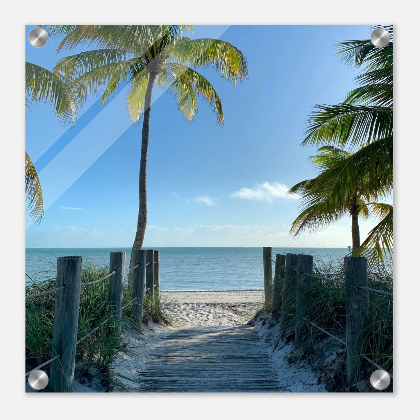 Beach Walk Acrylic Print on Caribbean Rays