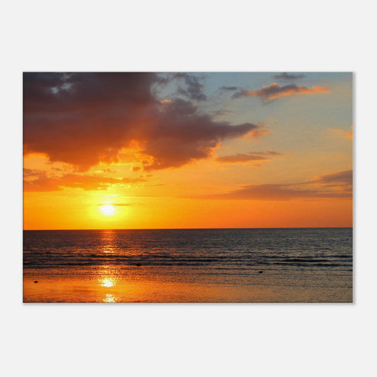 d1b29a8b-1559-4872-99ac-aba4b1092932