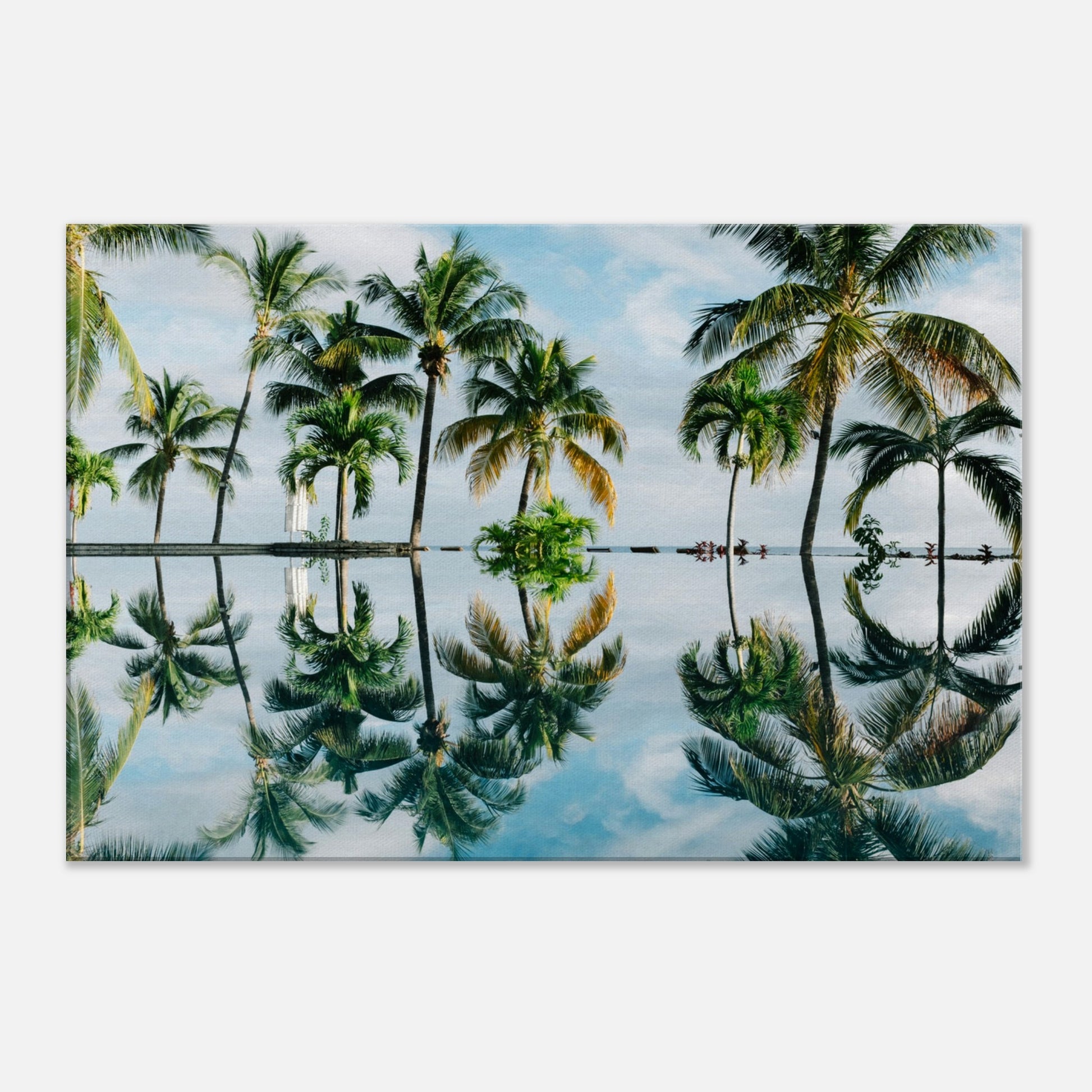 Palm Tree Reflections Canvas Wall Print by Caribbean Rays