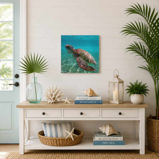 Swimming Brown Sea Turtle Canvas Wall Print