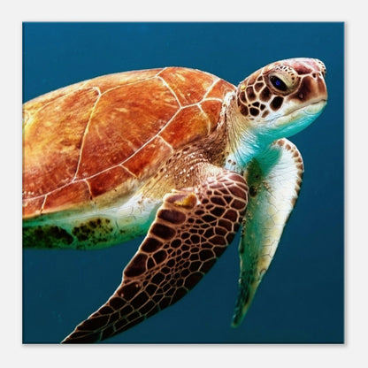 Brown Sea Turtle Canvas Wall Print at Caribbean Rays