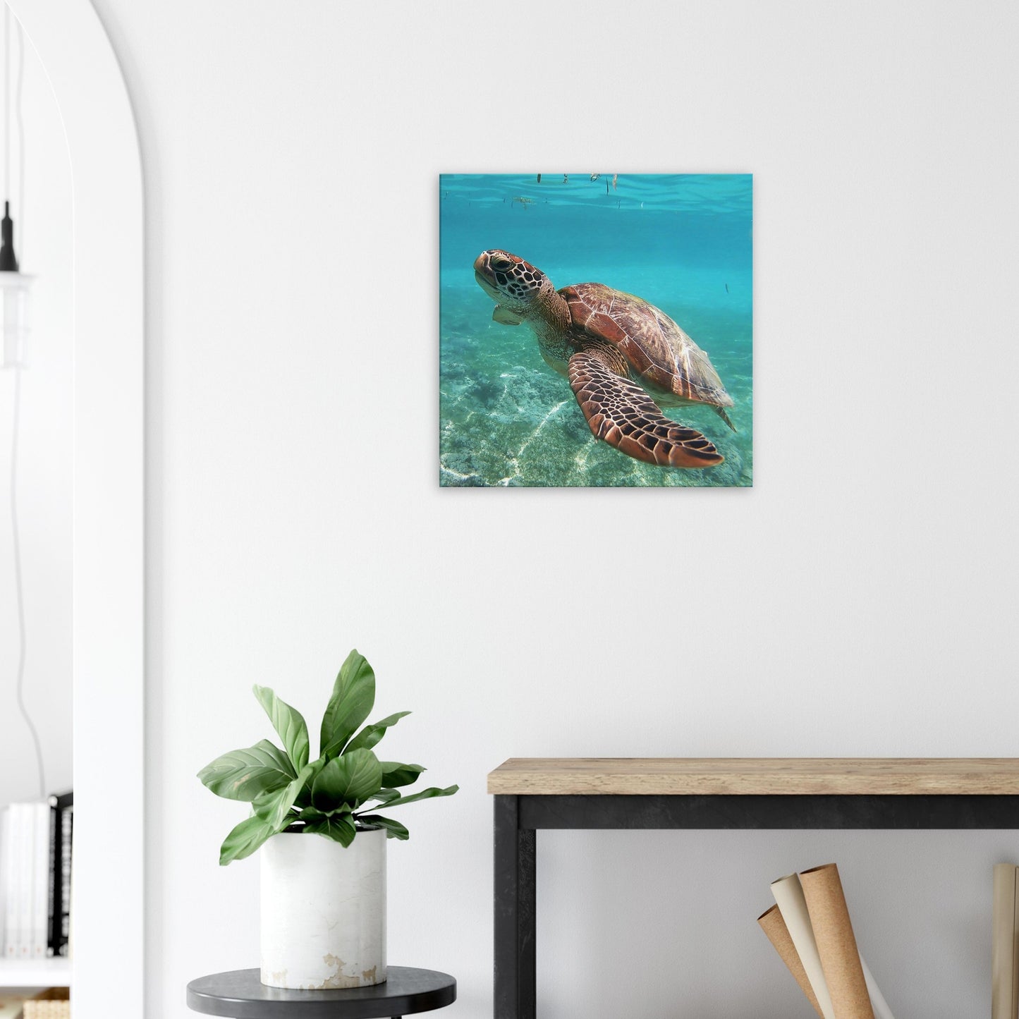 Swimming Brown Sea Turtle Canvas Wall Print - Caribbean Rays