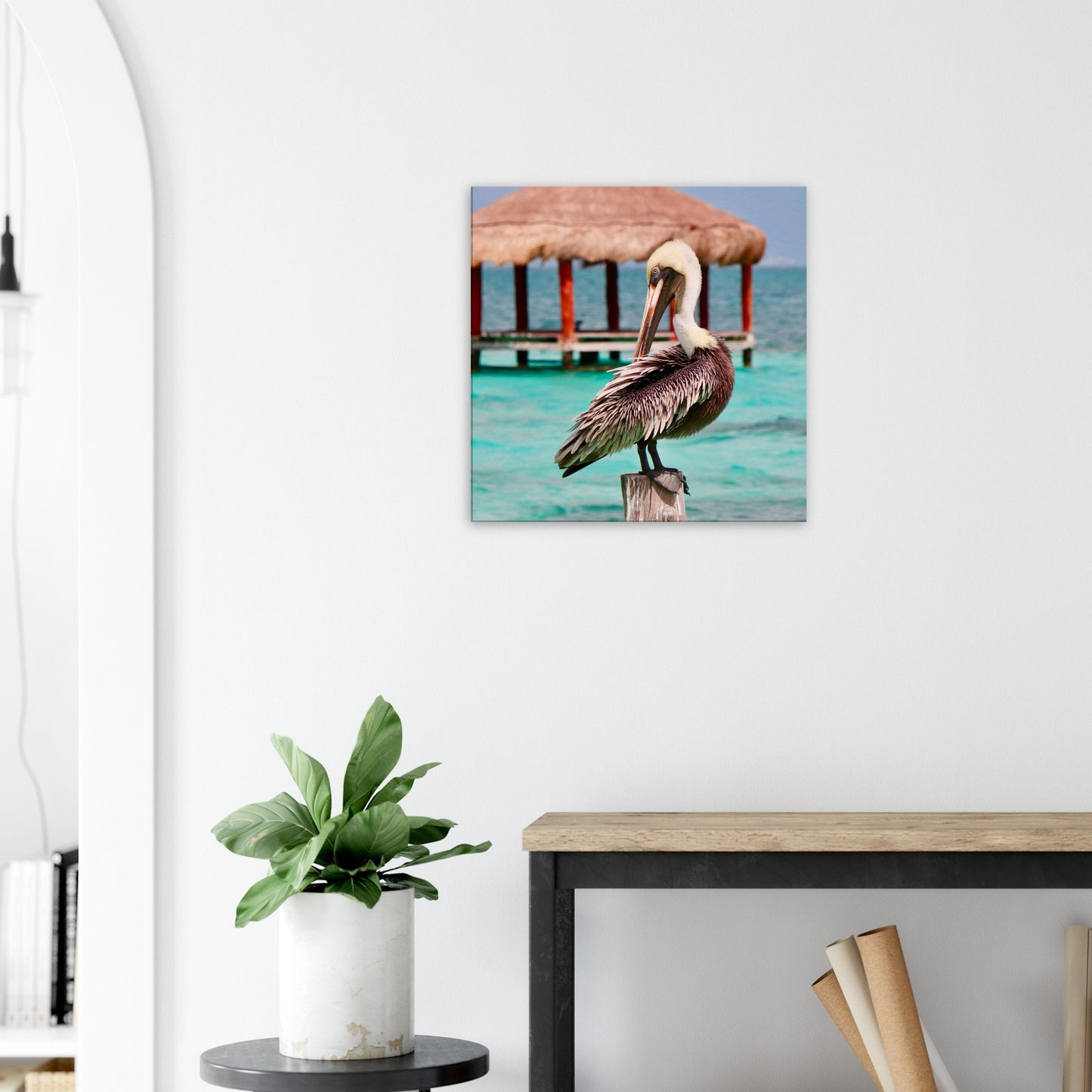 Pelican in Paradise Canvas Wall Print on Caribbean Rays