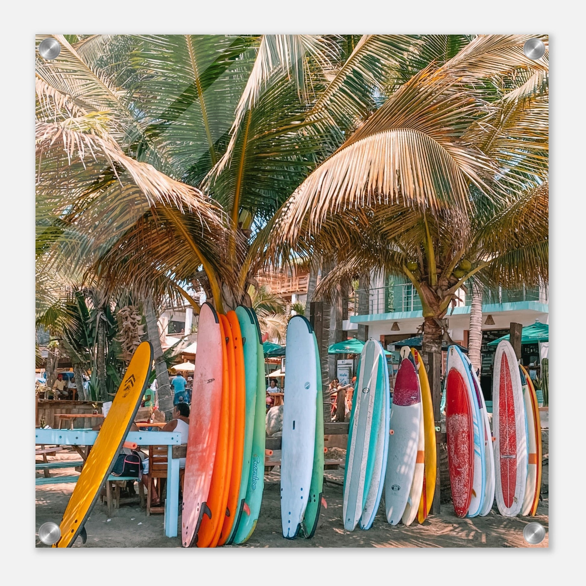 Surfboard Haven Acrylic Wall Print on Caribbean Rays