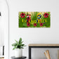 Island Life Large Canvas Wall Print -at Caribbean Rays