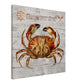 Dungeness Crab Canvas Wall Print - Caribbean Rays