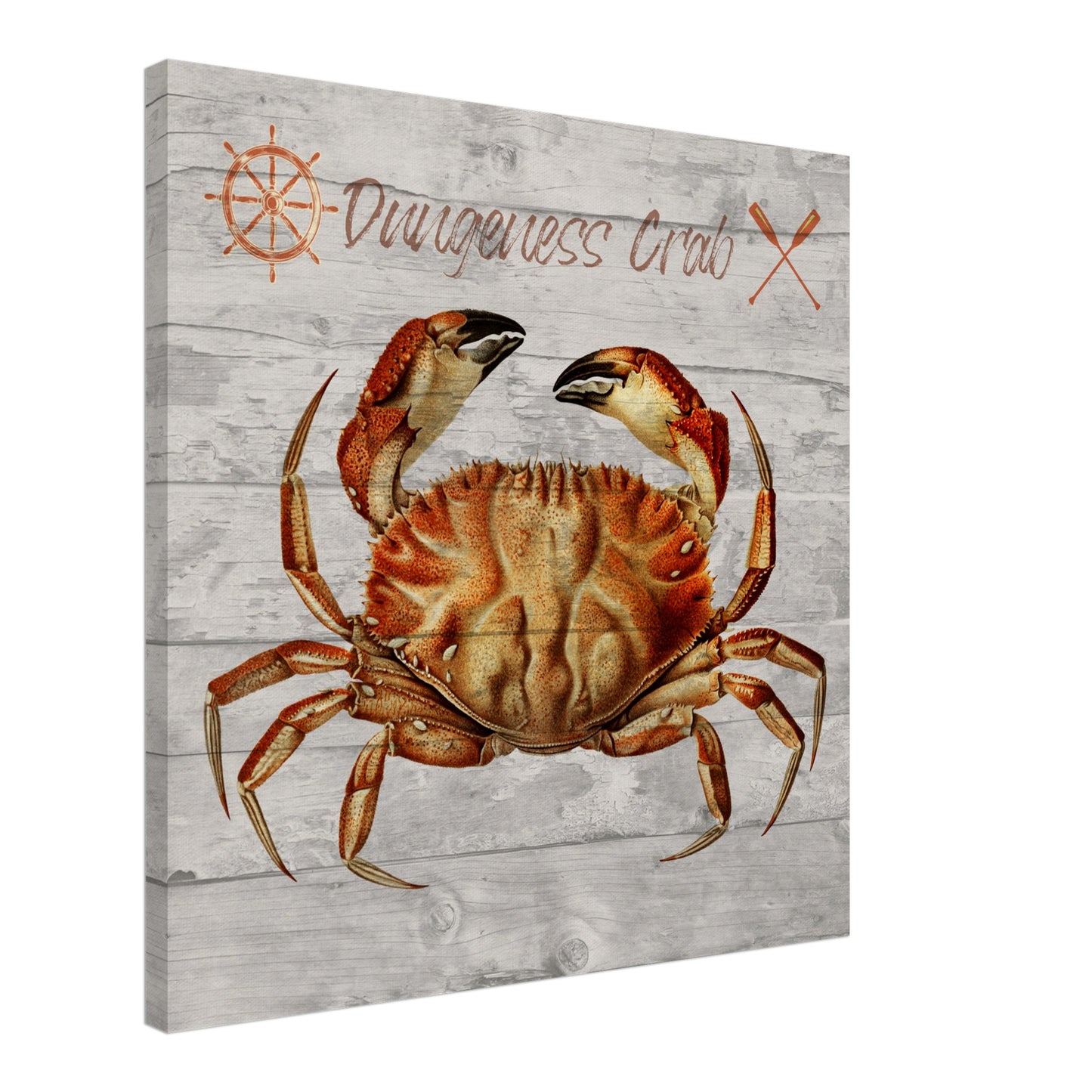 Dungeness Crab Canvas Wall Print - Caribbean Rays