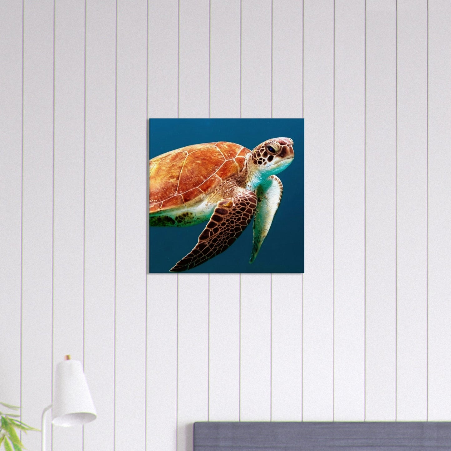 Brown Sea Turtle Canvas Wall Print - Caribbean Rays