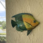 Tropical resin fish wall decor mounted on wall, blue-green and orange scaled body, fins