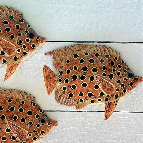 3pc 8in Black Spotted Resin Tropical Fish Wall Decor at Caribbean Rays