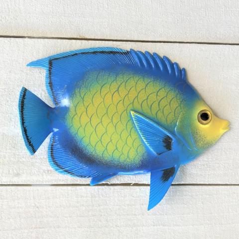 Princess Resin Tropical Fish Wall Accent by Caribbean Rays